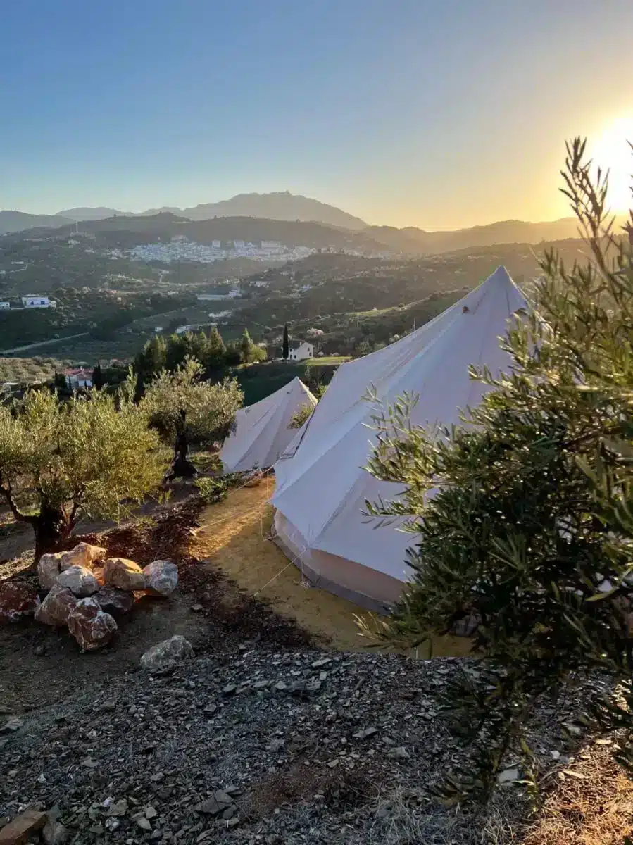 White bell tent and geodesic dome among olive trees with mountain landscape at sunset at Costa del Soul Guaro Málaga