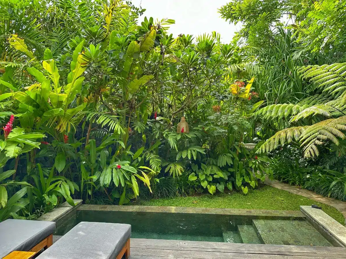 Lush tropical garden with vibrant heliconia flowers and dense greenery at Desa Hay Bali