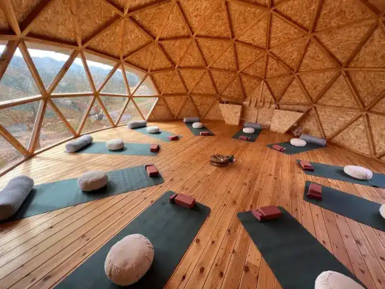 Rustic outdoor wellness space at the Reverse Aging Challenge venue