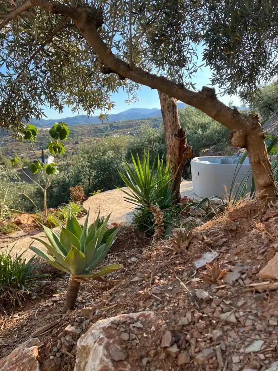 Outdoor hot tub under olive trees with mountain views and Mediterranean vegetation at Costa del Soul retreat Guaro