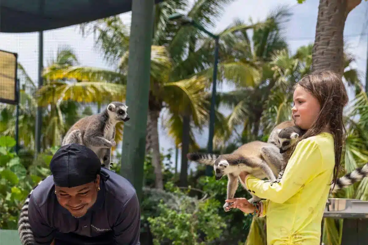 A man and a young girl interacting with ring-tailed lemurs in a tropical outdoor setting during a unique wildlife experience arranged through Insider Villas
