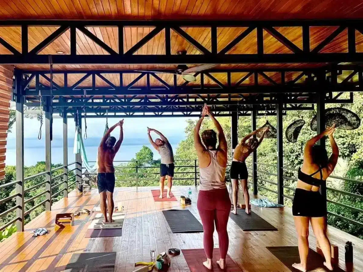 Soul Alive Retreats: Why the Nervous System Craves a ‘Safe Space’