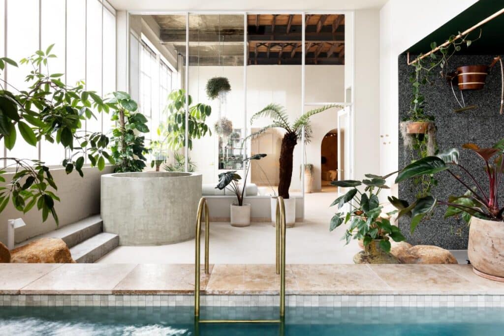 Indoor garden atrium with hanging plants at Sense of Self wellness center