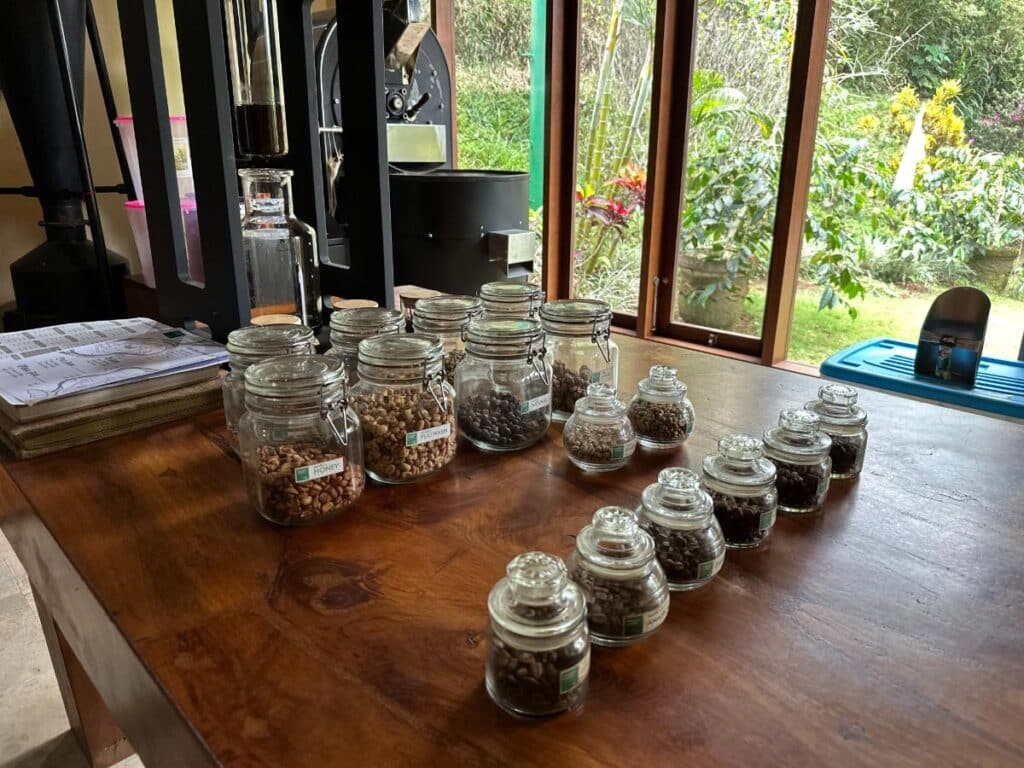 Assorted coffee bean varieties displayed in glass jars on a wooden tasting table at Munduk Moding Plantation Bali