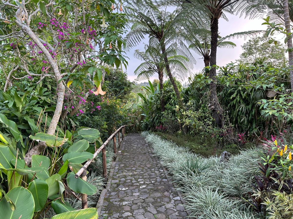 Villa entrance and private plunge pool terrace at Munduk Moding Plantation Bali with teak furniture and jungle garden backdrop