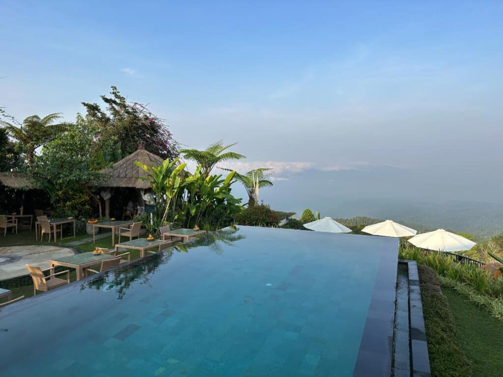 Munduk Moding Plantation Bali infinity pool with thatched pavilion bale, palm trees and layered highland landscape