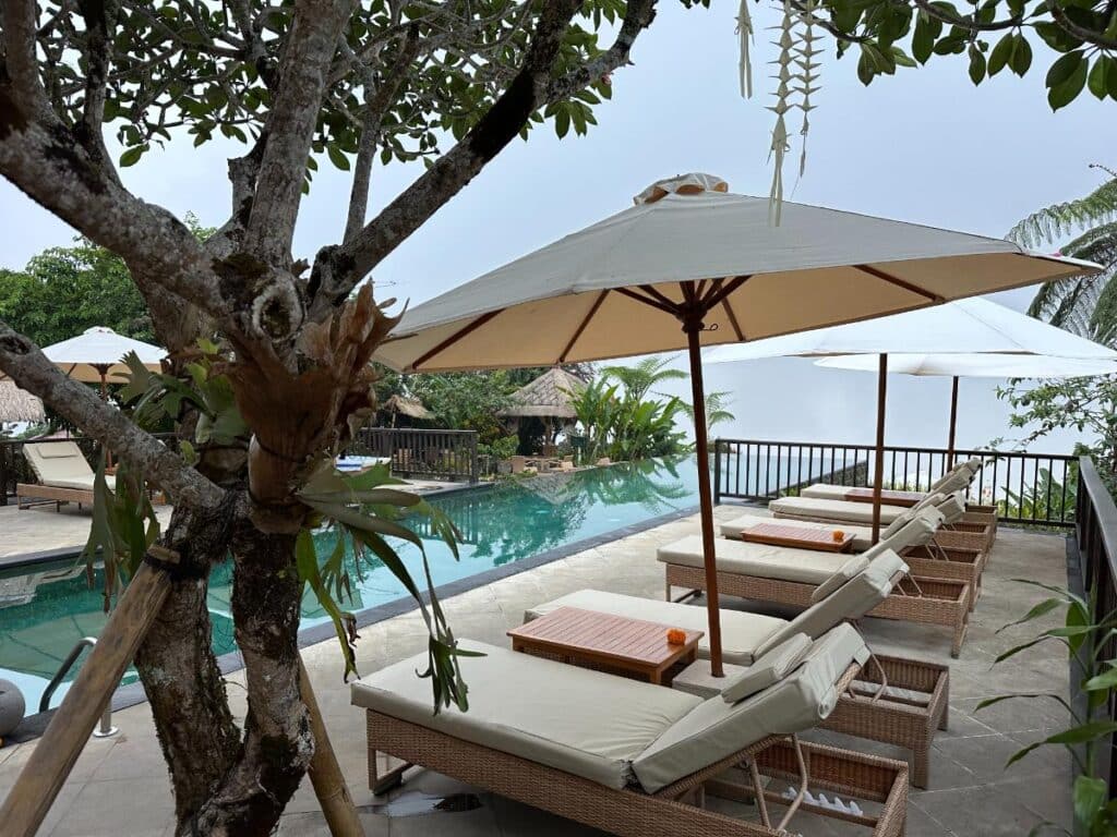 Main pool area at Munduk Moding Plantation Bali with sun loungers and parasols under a gnarled frangipani tree