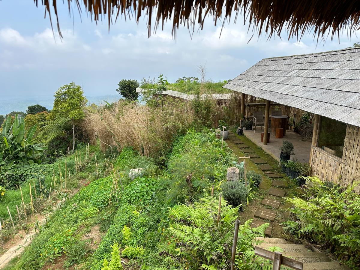 Hilltop spa area at Munduk Moding Plantation Bali with dome-shaped treatment pavilions and pool emerging from morning mist