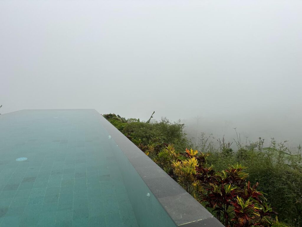 Misty cloud panorama from Munduk Moding Plantation Bali infinity pool edge looking out above the highland tree canopy