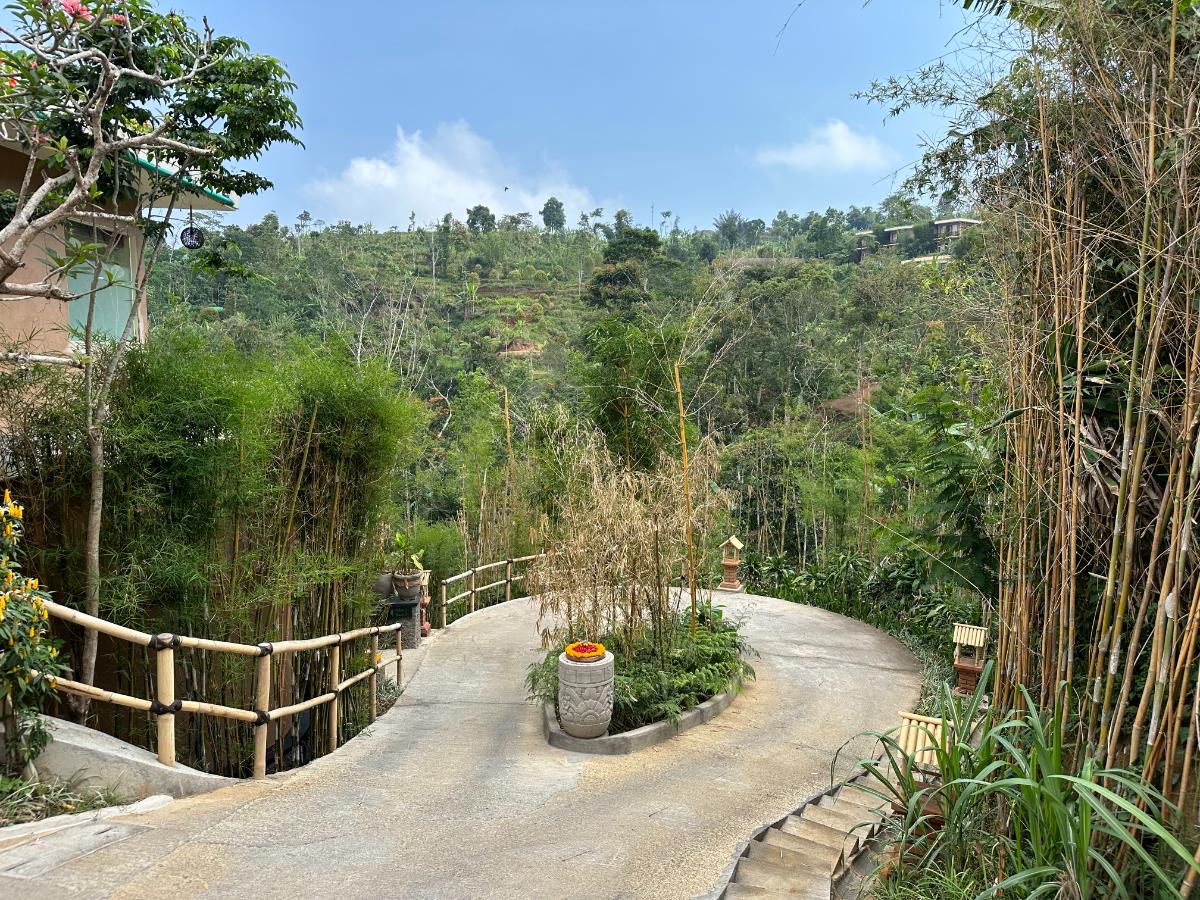 Terraced herb and vegetable garden on plantation hillside at Munduk Moding Plantation Bali with valley view beyond