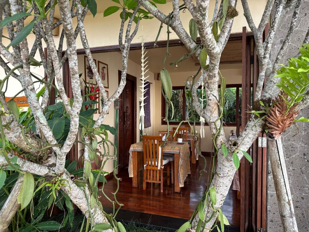 Restaurant exterior at Munduk Moding Plantation Bali framed through twisting frangipani branches and tropical vines