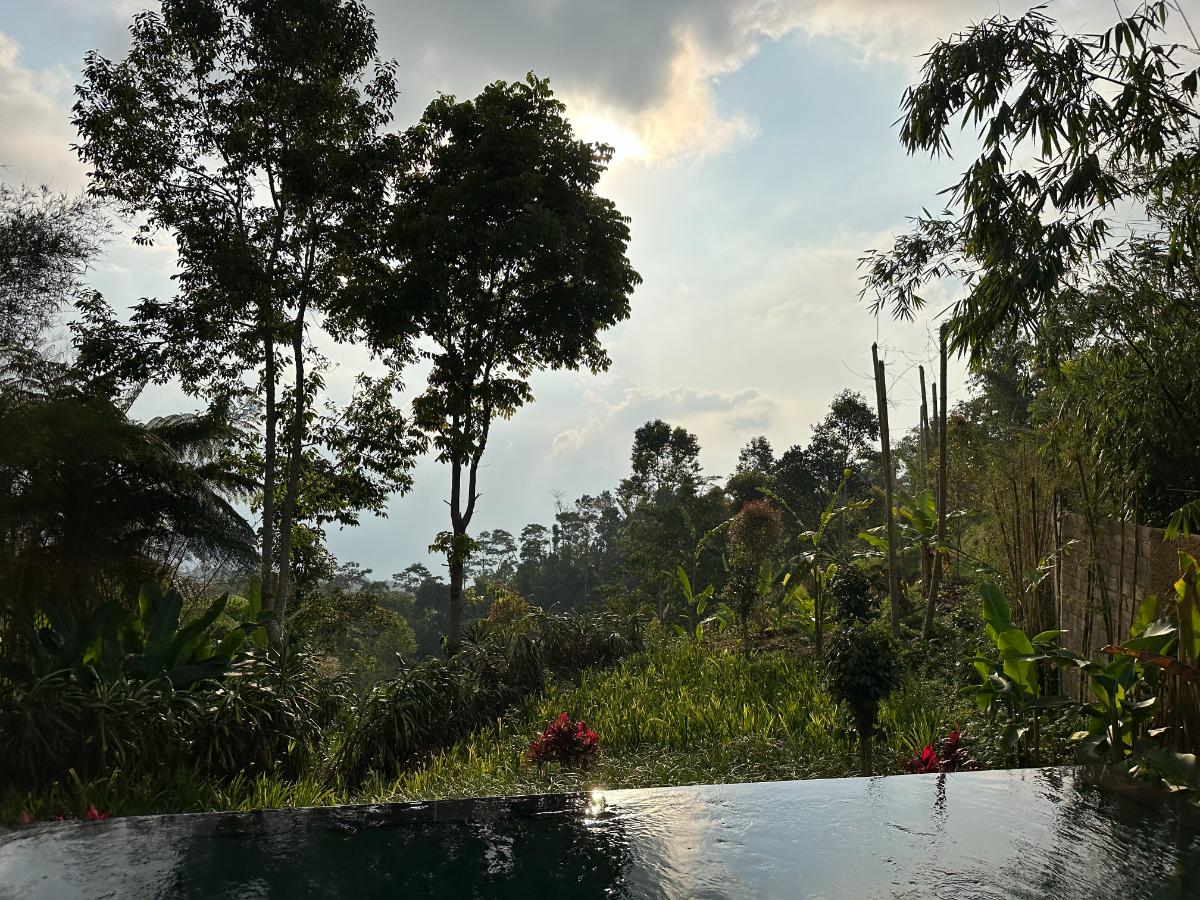 Villa interior overview at Munduk Moding Plantation Bali showing open-plan living space and lush highland garden outside