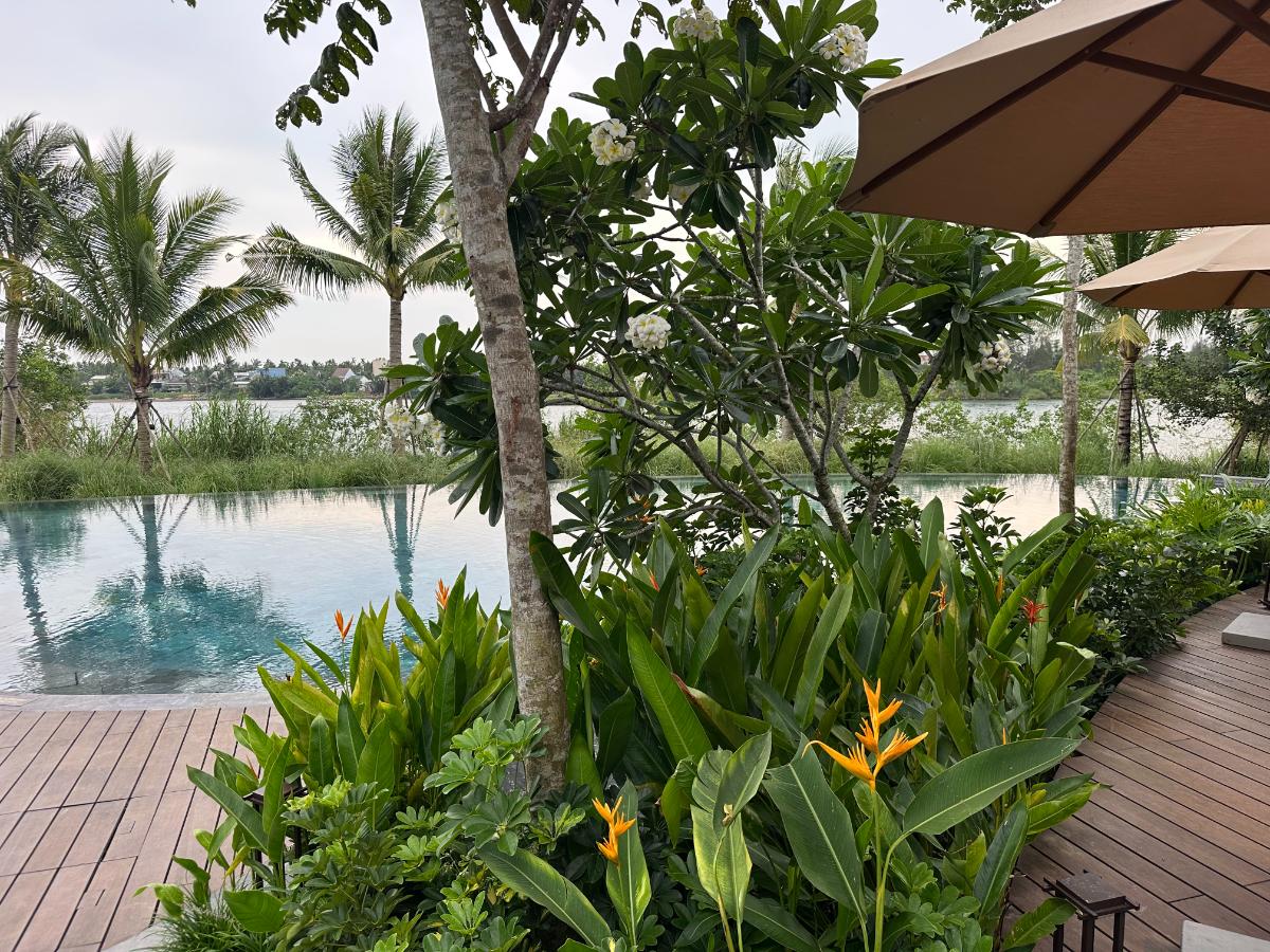 Infinity-Pool-Rand umrahmt von Helikonien und Palmen über dem Fluss, Namia River Retreat, Hoi An, Vietnam