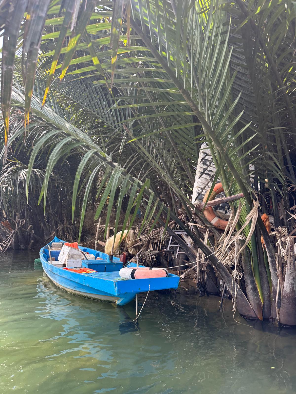 Blaues Holzboot zwischen Nipa-Palmen auf dem Wasserweg, Namia River Retreat, Hoi An, Vietnam